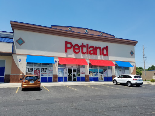 Petland Blue Springs