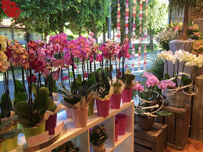 Nedellec-Rivière fleuriste depuis 1896 à Étampes