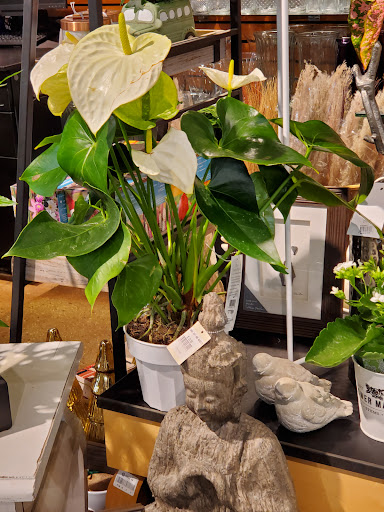 Grocery Store «Harmons», reviews and photos, 7755 700 E, Midvale, UT 84047, USA