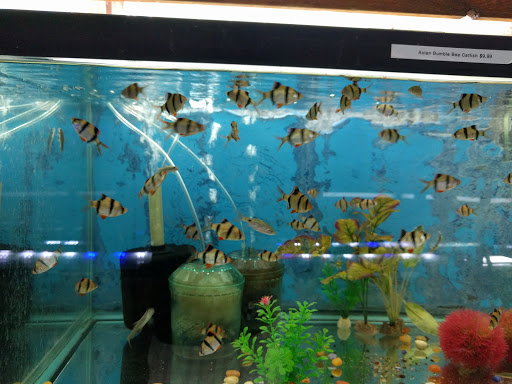 Pet Store «Forest Lake Pets», reviews and photos, 120 Lake St N, Forest Lake, MN 55025, USA