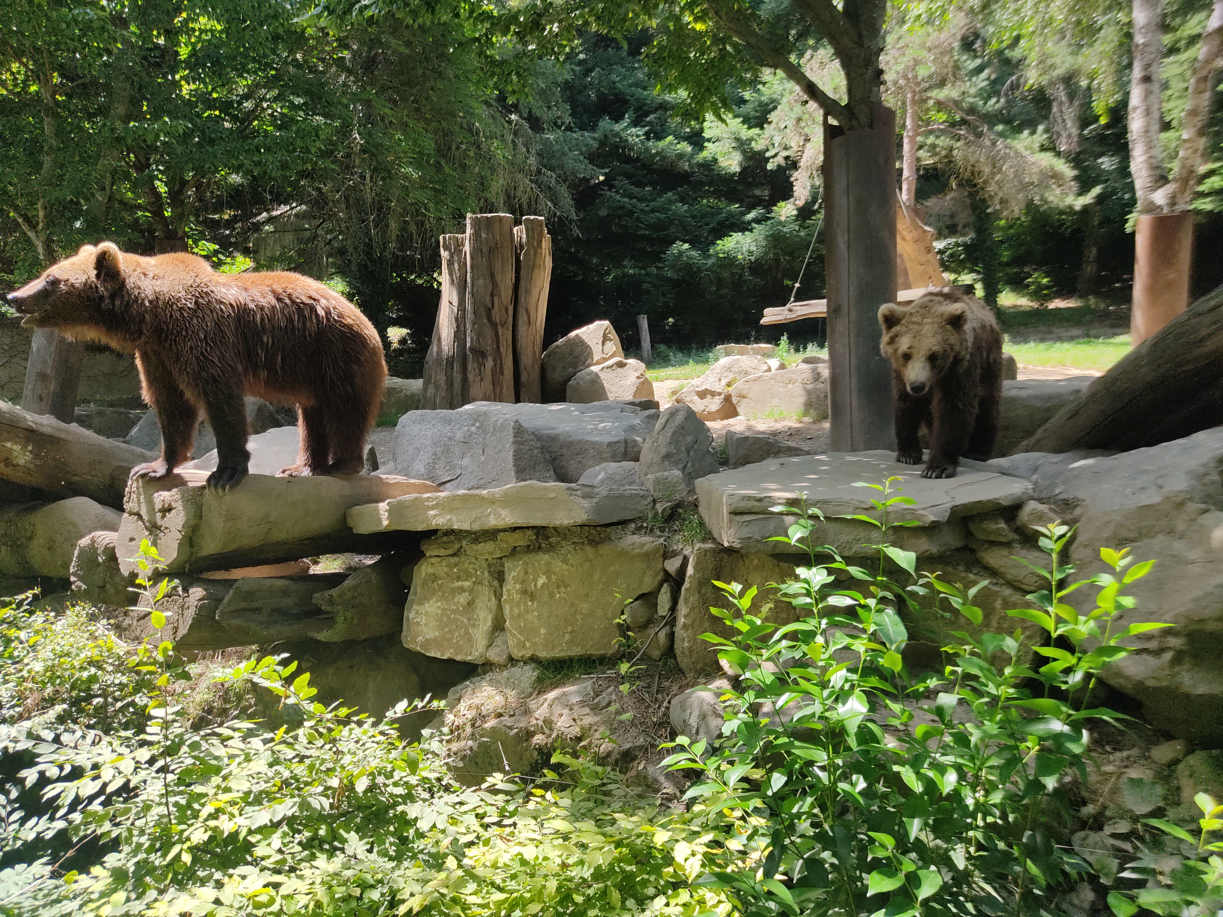 Photo n° 18 de l'avis de David.i fait le 18/11/2019 à 20:29