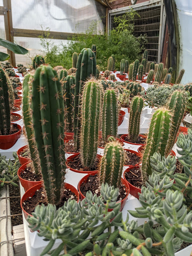 Greenhouse «Stony Hill Gardens», reviews and photos, 8 NJ-24, Chester, NJ 07930, USA