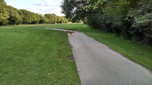Golf Course «Indian Boundary Golf Course», reviews and photos, 8600 W Forest Preserve Ave, Chicago, IL 60634, USA