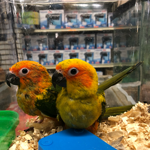 Pet Supply Store «Super Pet Store», reviews and photos, 5220 S Pulaski Rd, Chicago, IL 60632, USA