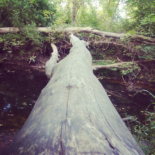 Park «Ira Township Park», reviews and photos, 7085 Meldrum Rd, Ira Township, MI 48023, USA