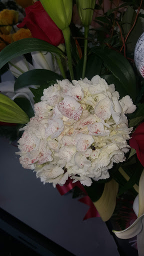 Florist «Finer Flowers», reviews and photos, 645 E Landis Ave, Vineland, NJ 08360, USA