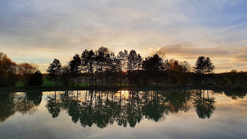 Etang de Falkwiller à Falkwiller