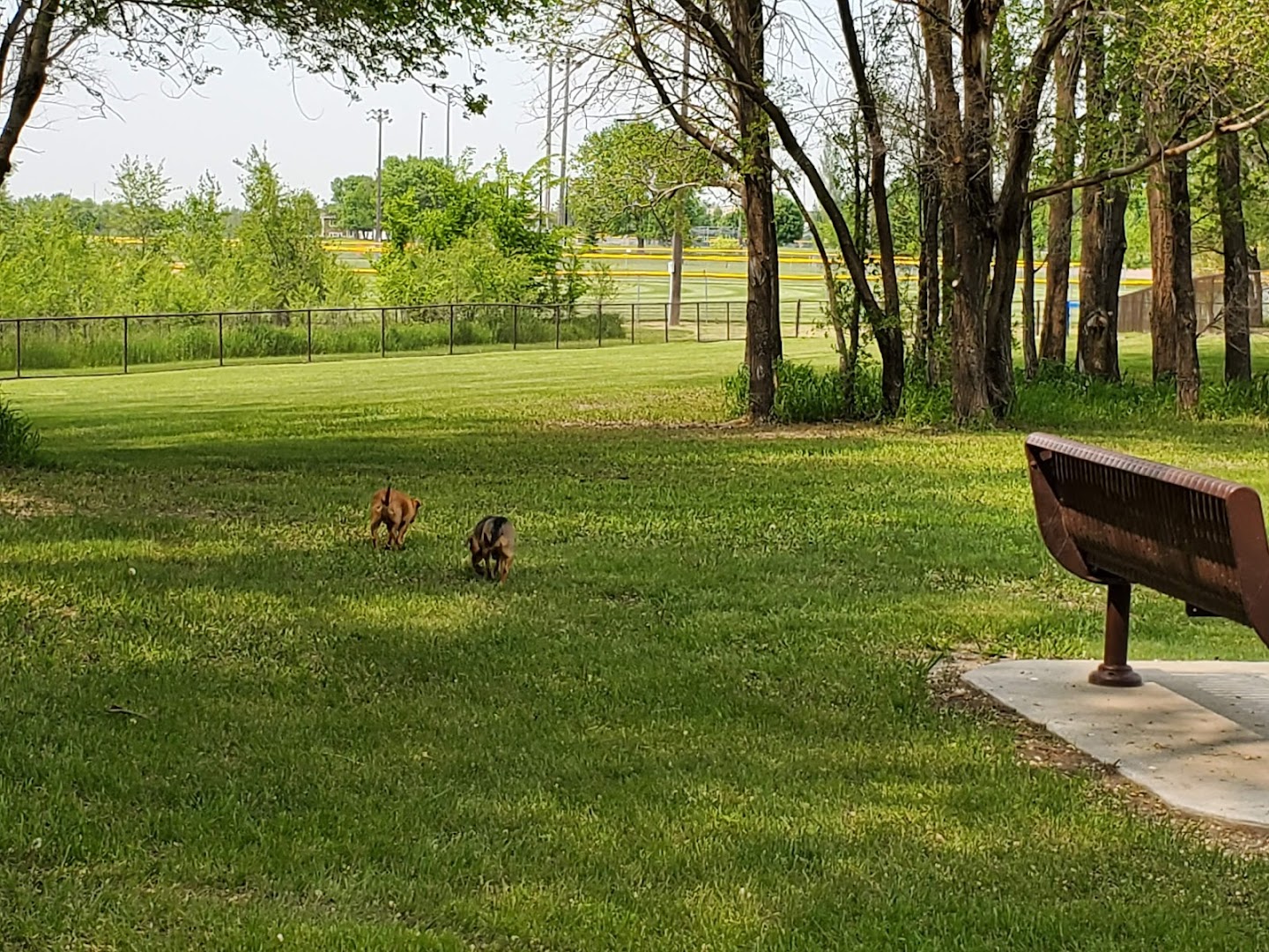Cadwell Dog Park