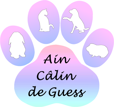 Ain Câlin de Guess à Toussieux