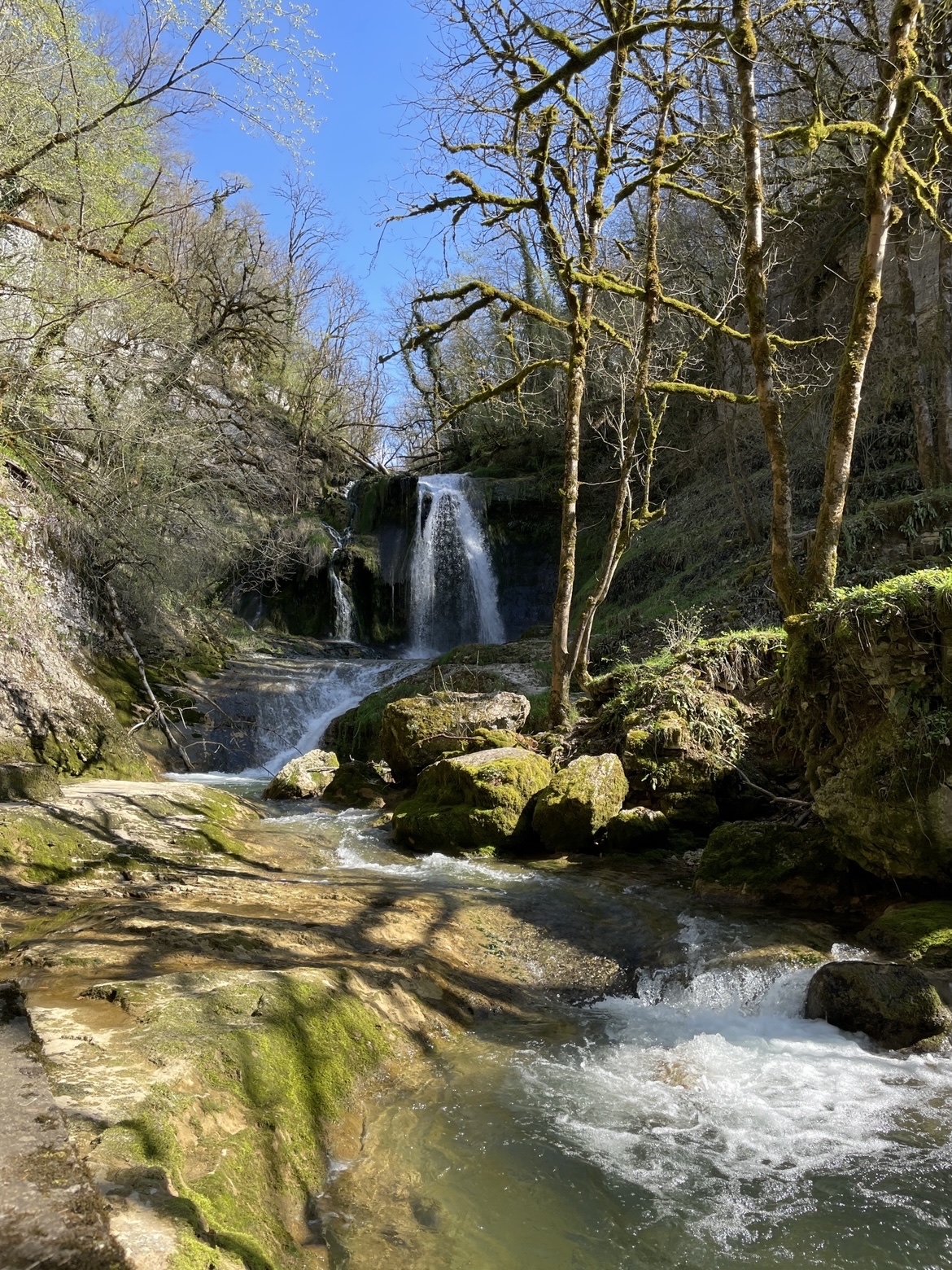 Photo n° 2 de l'avis de M. fait le 20/04/2022 à 21:34