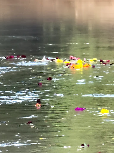 Park «Terry Hershey Park», reviews and photos, 15200 Memorial Dr, Houston, TX 77079, USA