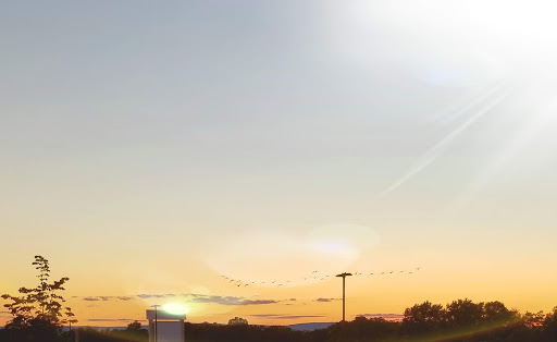 Department Store «HomeGoods», reviews and photos, 664 New Loudon Rd, Latham, NY 12110, USA