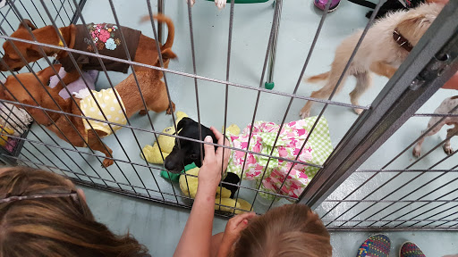 Pet Store «Wet Pets N Critters», reviews and photos, 103 TX-281 Loop, Longview, TX 75605, USA