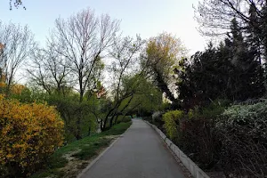 Moat Park and the Citadel Slopes in Warsaw image