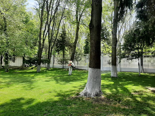 Comentarii opinii despre Ekara Cleaning