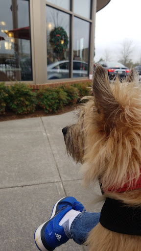 Fast Food Restaurant «Chick-fil-A», reviews and photos, 2048 Cumming Hwy, Canton, GA 30114, USA