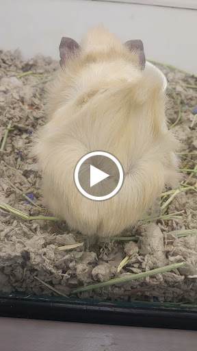 Pet Supply Store «Petco Animal Supplies», reviews and photos, 3637 2700 W, West Valley City, UT 84119, USA