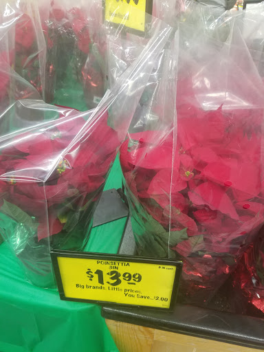 Grocery Store «Grocery Outlet Bargain Market», reviews and photos, 1000 Main St, Watsonville, CA 95076, USA