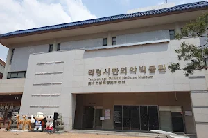Daegu Yangnyeongsi Museum of Oriental Medicine image