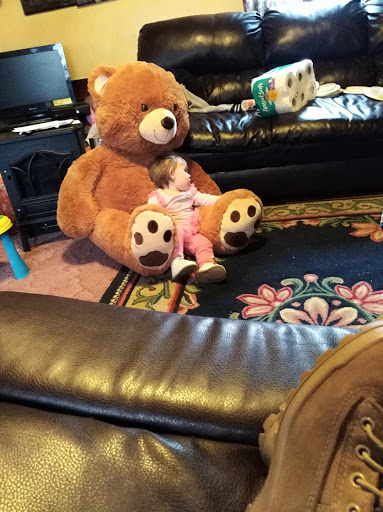 Discount Store «Dollar General», reviews and photos, 390 Hillcrest Way, Bedford, IN 47421, USA