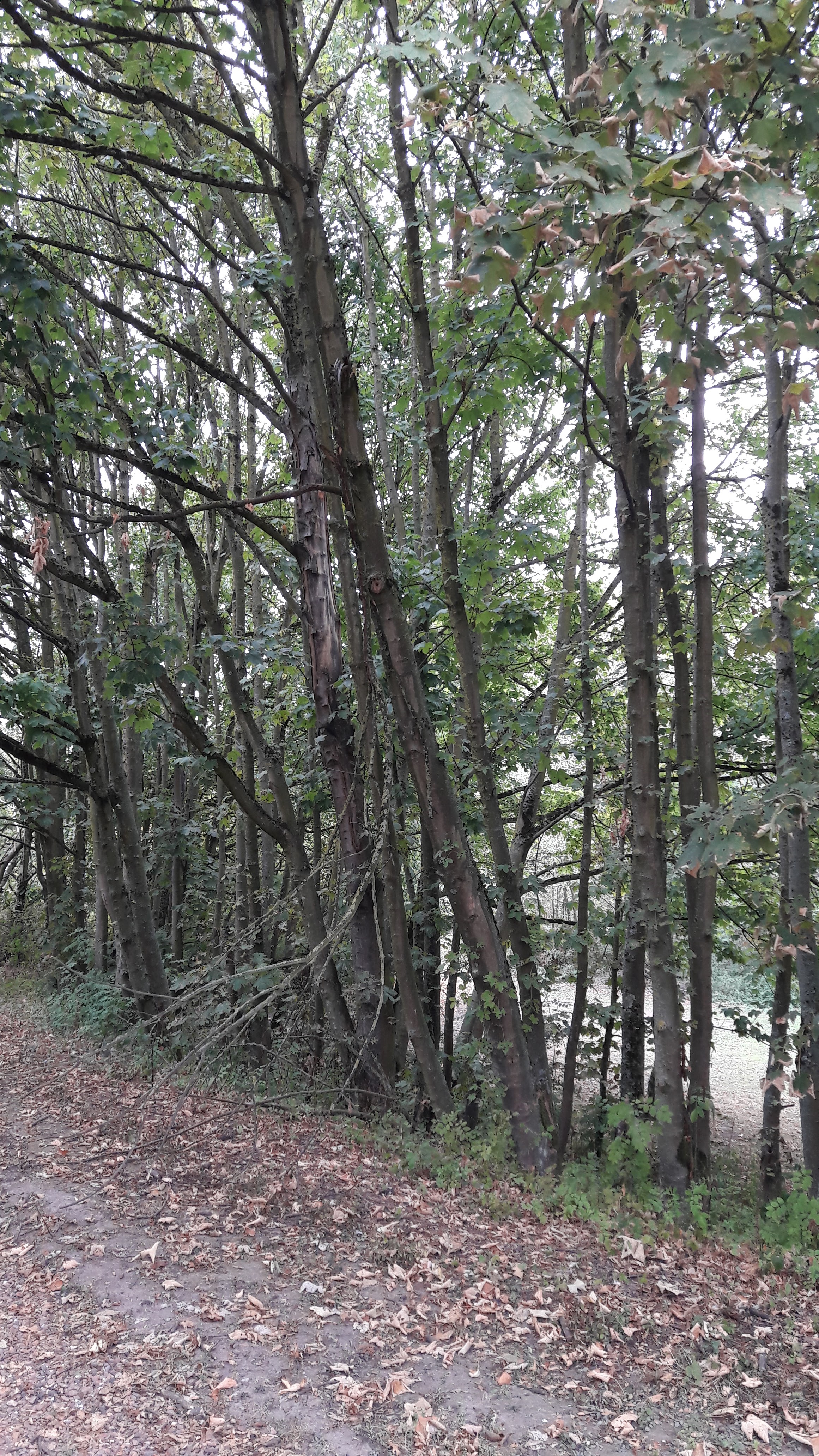 Photo n° 26 de l'avis de Alfa.l fait le 12/09/2019 à 04:09