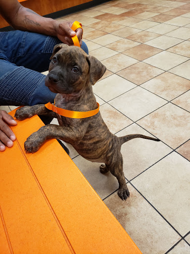 Pet Supply Store «PetSmart», reviews and photos, 8660 Airline Hwy, Baton Rouge, LA 70815, USA