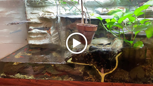 Pet Supply Store «Petco Animal Supplies», reviews and photos, 1141 Wantagh Ave, Wantagh, NY 11793, USA