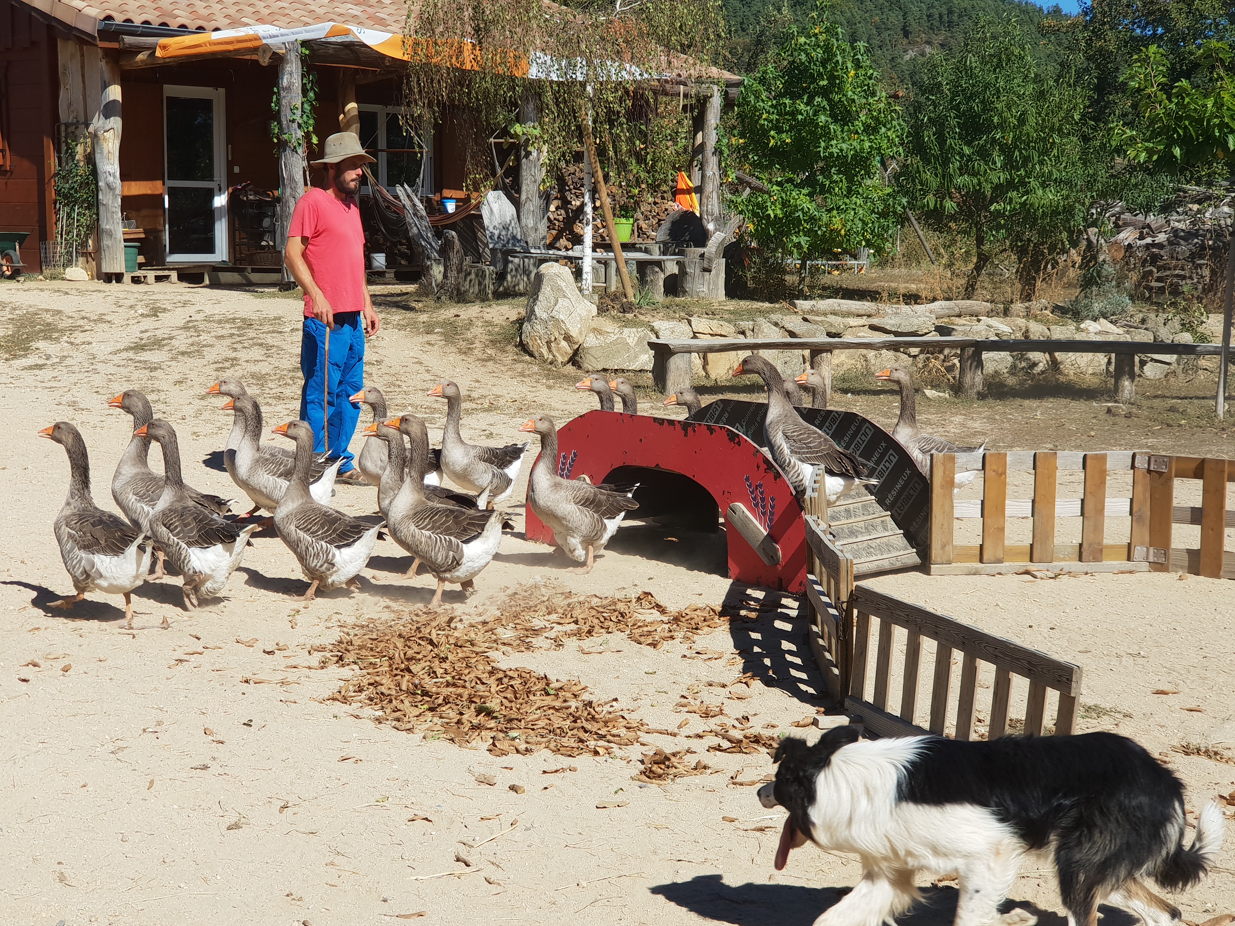 Photo n° 8 de l'avis de virginie.h fait le 26/09/2018 à 15:30