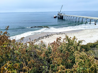 Carpinteria Seal Sanctuary