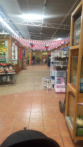 Opiniones de Centro Comercial El Loa en Calama - Centro comercial
