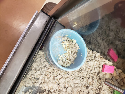 Pet Supply Store «Petco Animal Supplies», reviews and photos, 1150 Concord Ave #160, Concord, CA 94520, USA