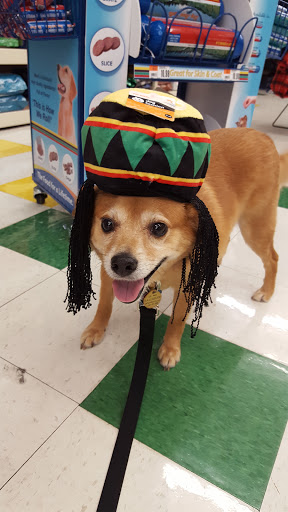 Pet Supply Store «Pet Supplies Plus», reviews and photos, 702 W Northland Ave, Appleton, WI 54914, USA