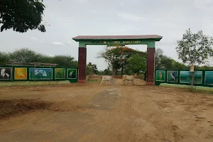 Vettangudi Bird Sanctuary image