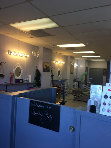 Pet Groomer «Spoiled Petz Pet Store and Grooming», reviews and photos, 12030 Donner Pass Rd #1, Truckee, CA 96161, USA
