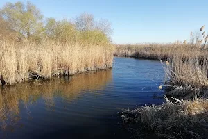 Lower Dniester National Park image