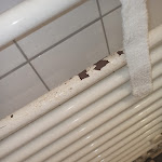 Photo n°4 de l'avis de S... fait le 21/10/2023 à 14:38 sur le  Hotel an der Therme Bad Sulza à Bad Sulza