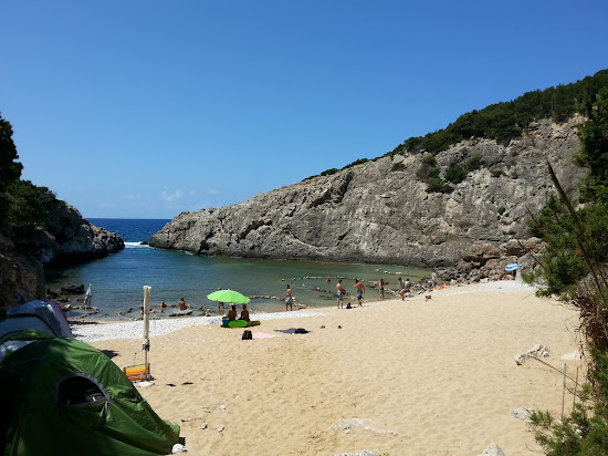 Paralia Glossa