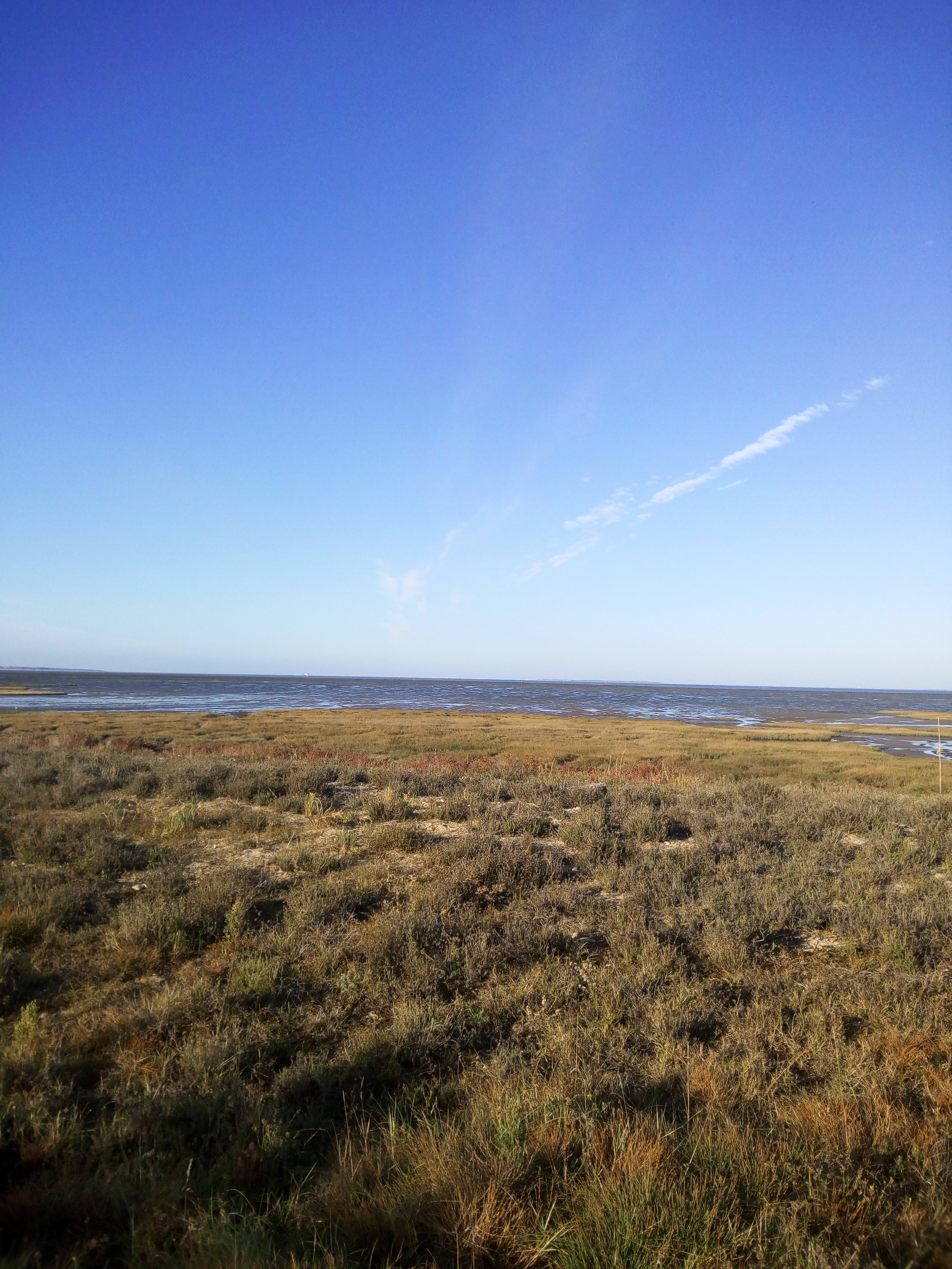 Photo n° 2 de l'avis de Møøn.� fait le 30/10/2021 à 19:03