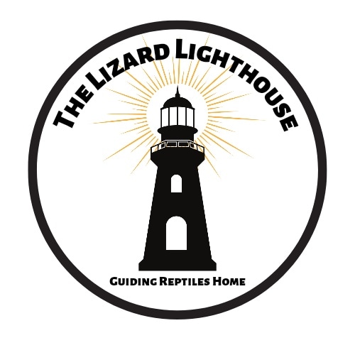 The Lizard Lighthouse Reptile Rescue