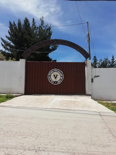 Opiniones de Colegio Medico Veterinario Del Perú - CD Puno en Puno - Médico