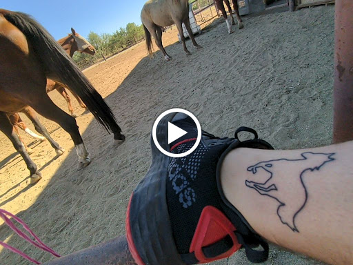 Find tattoos ideas on leg for your next unique tattoo in Tucson at Xaviers Tattoos