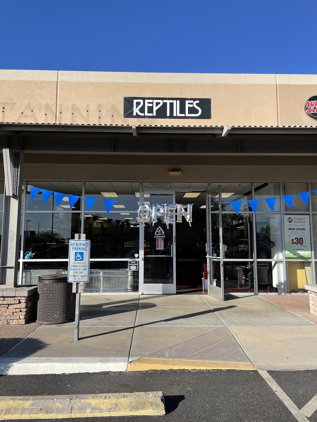 The Reptile Store