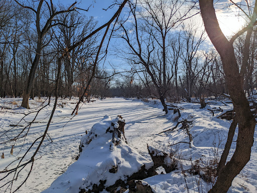 Nature Preserve «Sidney Yates Flatwoods», reviews and photos, N Caldwell Ave, Chicago, IL 60646, USA