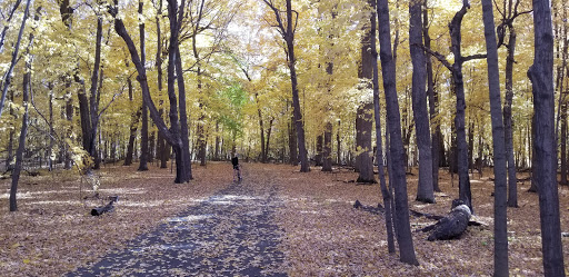 Campground «Baker Campground», reviews and photos, 2309 Baker Park Rd, Maple Plain, MN 55359, USA