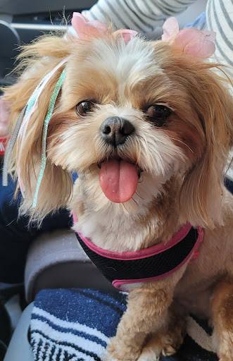 Pet Supply Store «PetSmart», reviews and photos, 2818 S Louise Ave, Sioux Falls, SD 57106, USA