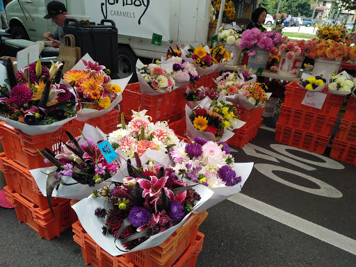 Non-Profit Organization «University Heights Center», reviews and photos, 5031 University Way NE, Seattle, WA 98105, USA