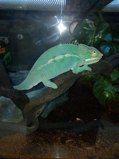 Pet Supply Store «Petco Animal Supplies», reviews and photos, 3680 Spencer Hwy, Pasadena, TX 77504, USA