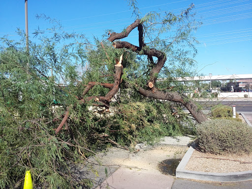 Sporting Goods Store «Big 5 Sporting Goods», reviews and photos, 921 E Southern Ave, Tempe, AZ 85282, USA