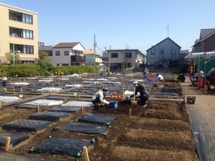 シェア畑 世田谷駅前