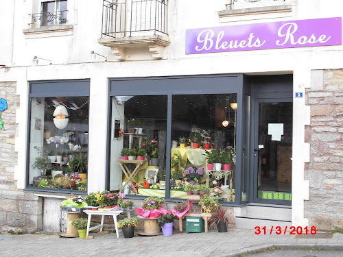 Bleuets Rose à Saint-Jean-Brévelay | 0 AVIS | Horaire-et-annuaire.fr